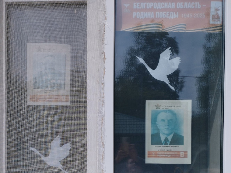 Окна Победы в детском саду.