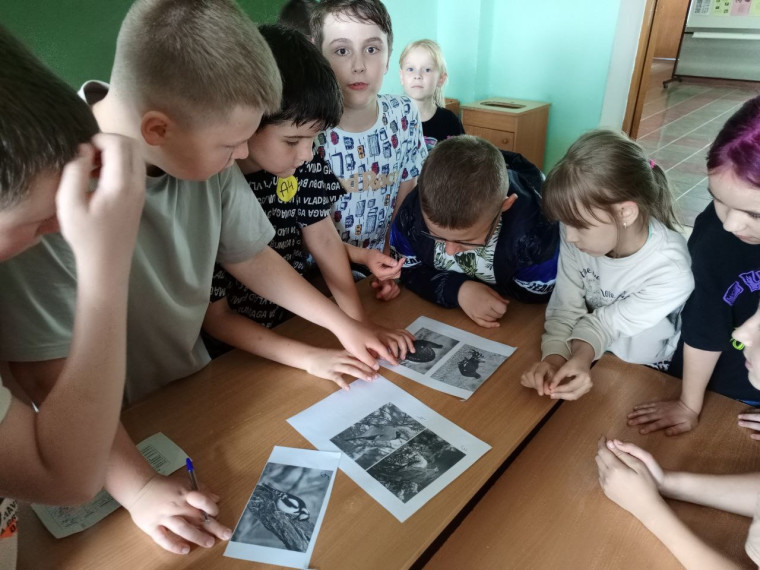 Экологический дозор: увлекательные приключения во "Дворце у озера".